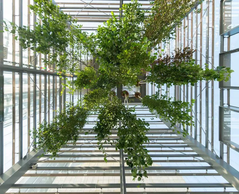 Betula pendula by LaND30