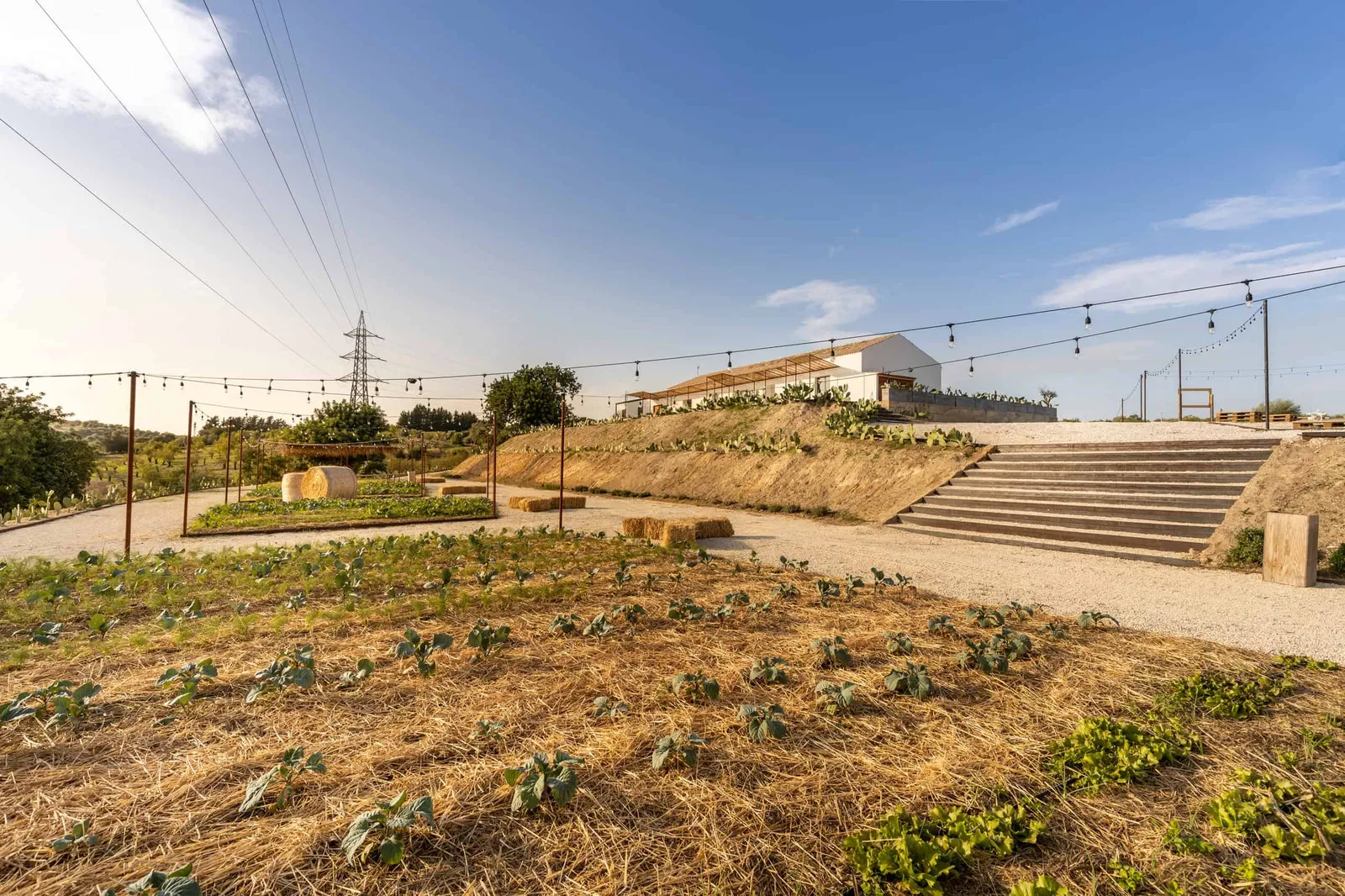 “Si può fare” Vegetable gardens by Salvatore Spataro Architetto