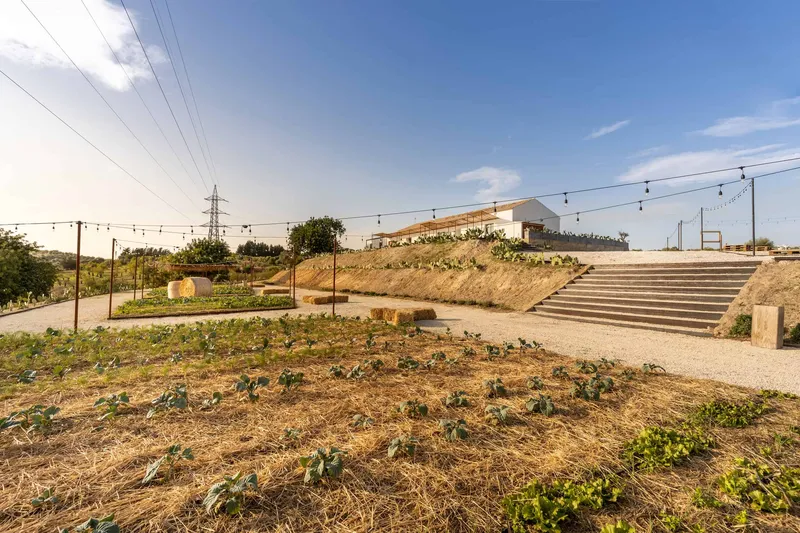 “Si può fare” Vegetable gardens by Salvatore Spataro Architetto