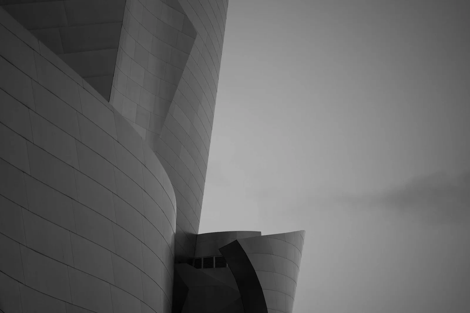 Walt Disney Concert Hall by Adam Sturino