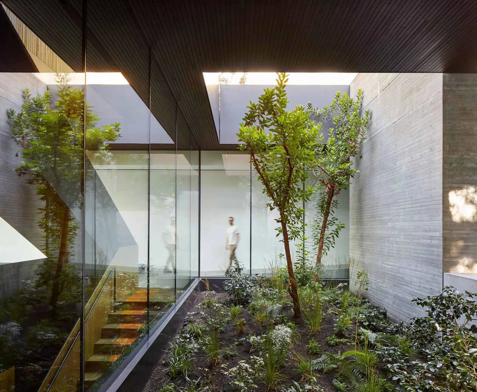 Liminal House by McLeod Bovell Modern Houses