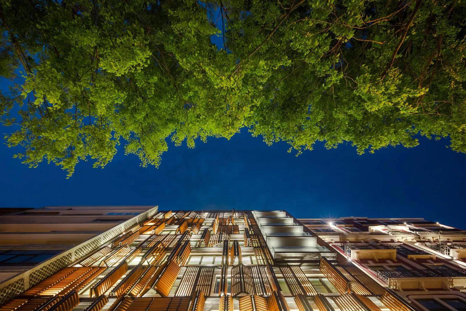 Lisbon Wood by Plano Humano Arquitectos