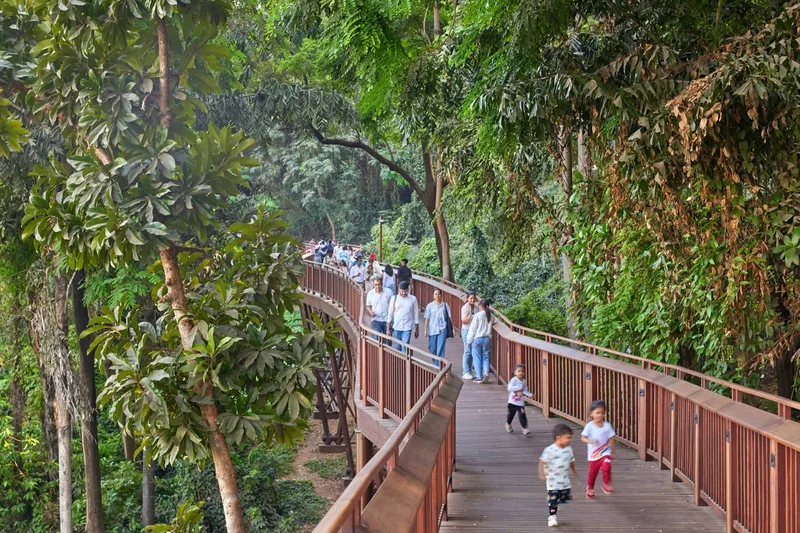 Malabar Hill Elevated Forest Trail by IMK ARCHITECTS