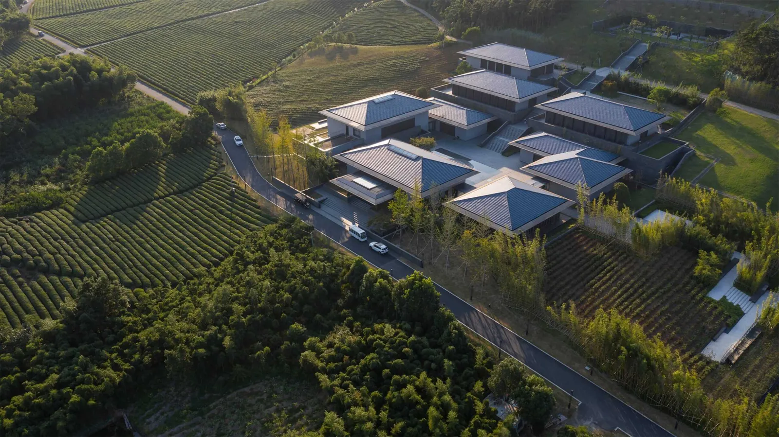 Taikang · Hangzhou Jingshan Bamboo Tea Garden by Landao design
