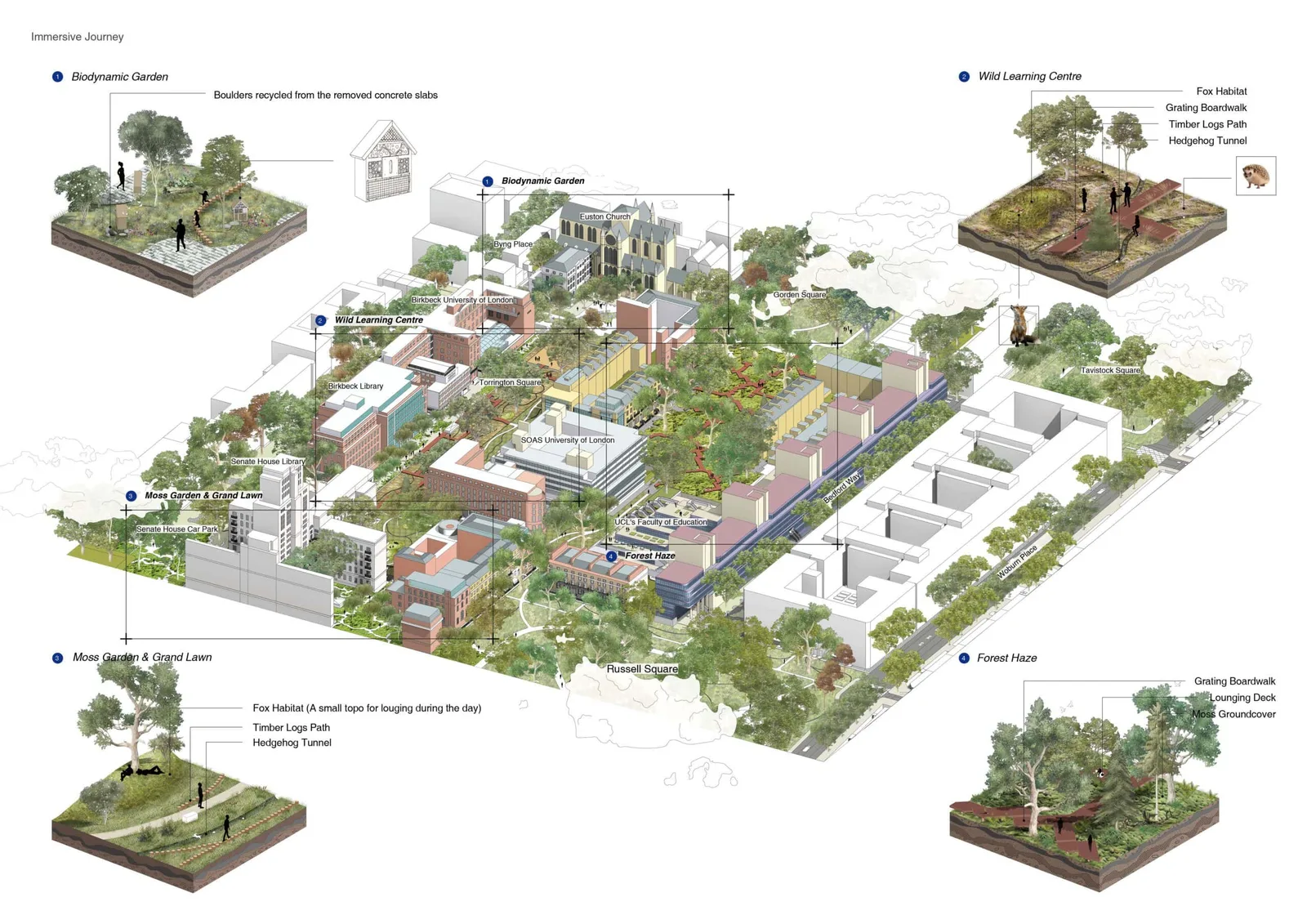 Urban Living Library: A Biodiversity-led Framework for Campus Regeneration by Fengyi Wu