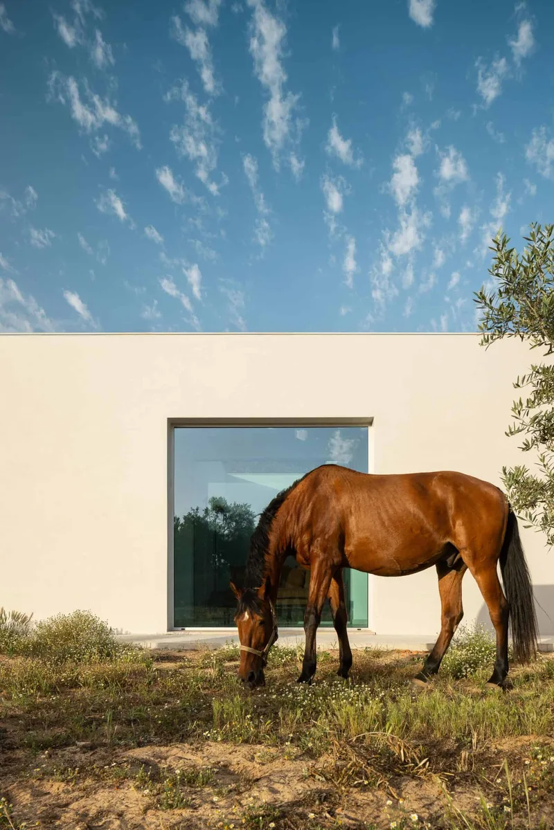 Casa M Ariane by Sabrab architecture
