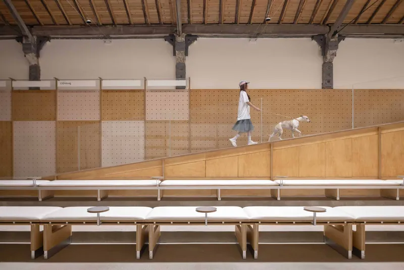 Healing Pets by Informal Design
