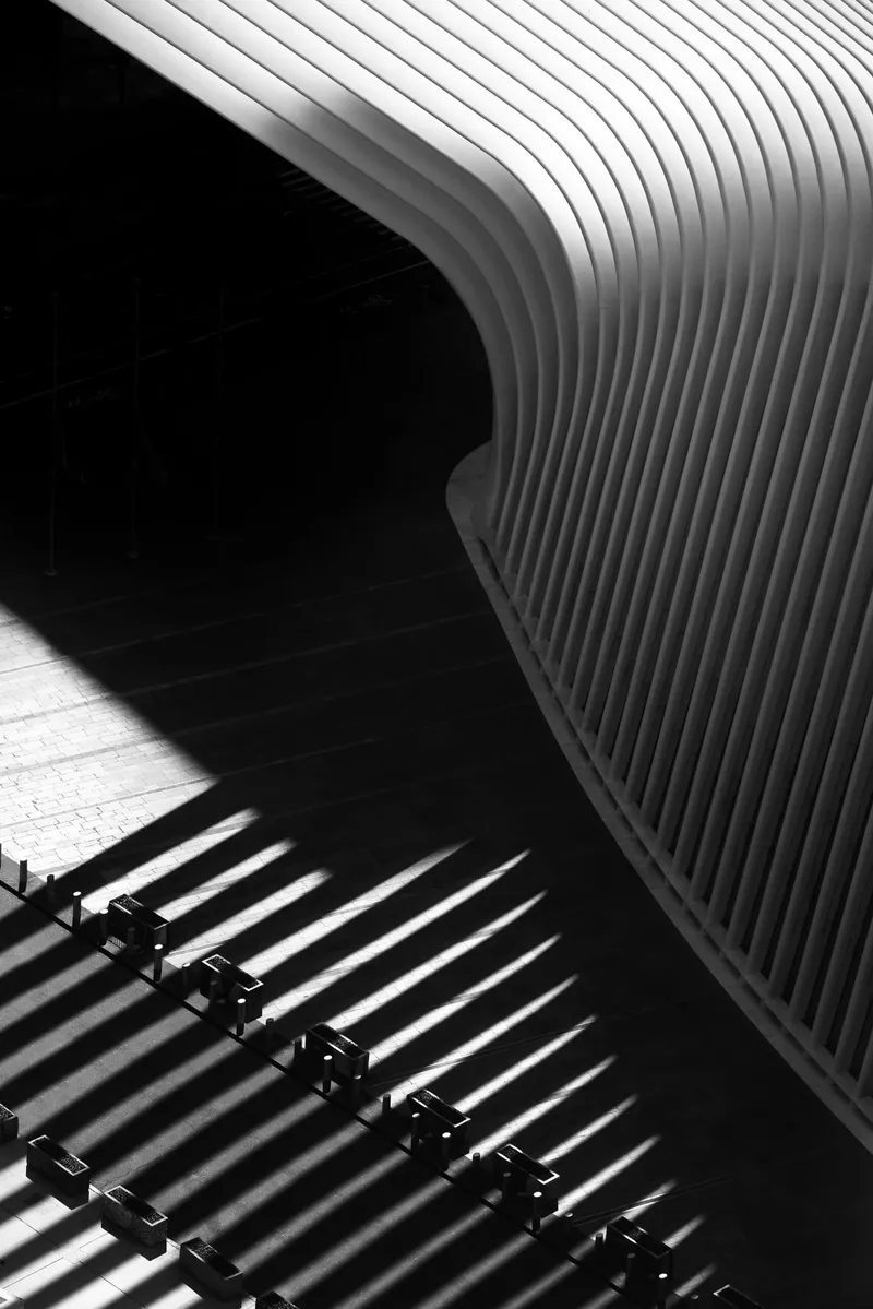 The Oculus by Brian Berkowitz