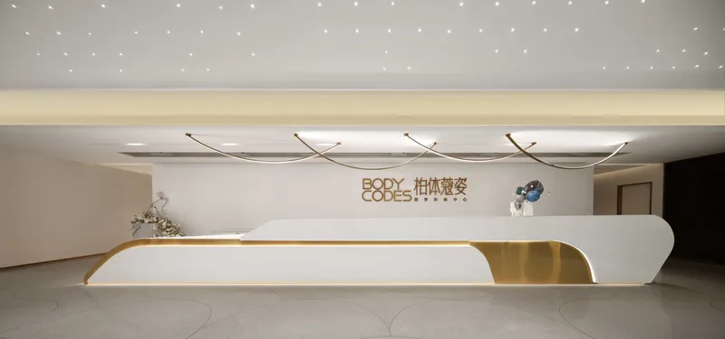 Bravou Medical Beauty Hospital by DESMOOD