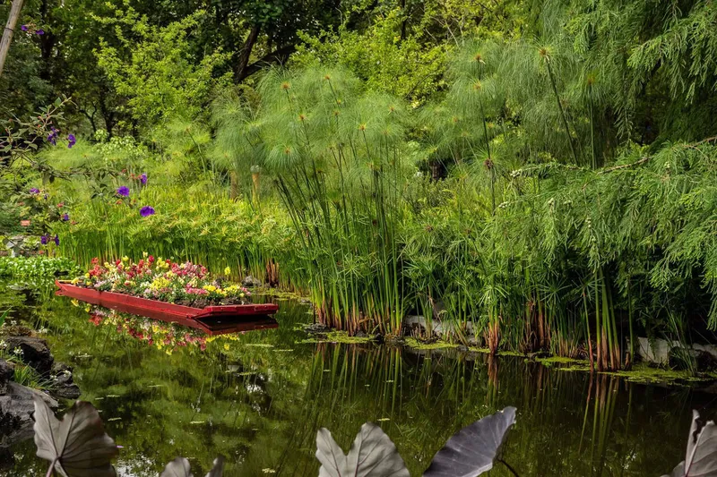 Jardin Botanico Chapultepec by Huatan