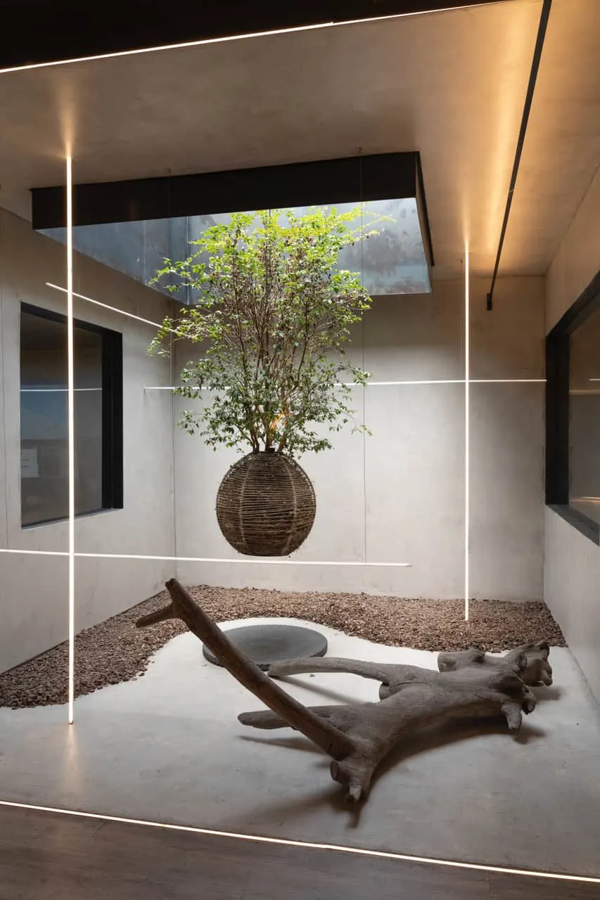 CA Offices by LC arquitectura